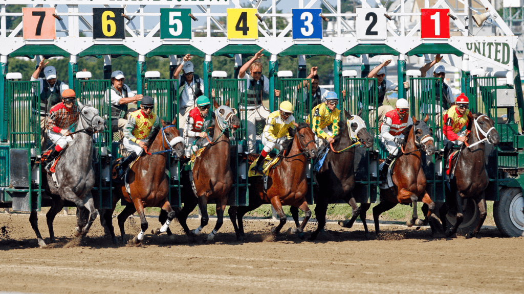 Beginners Guide to Horse Racing Betting