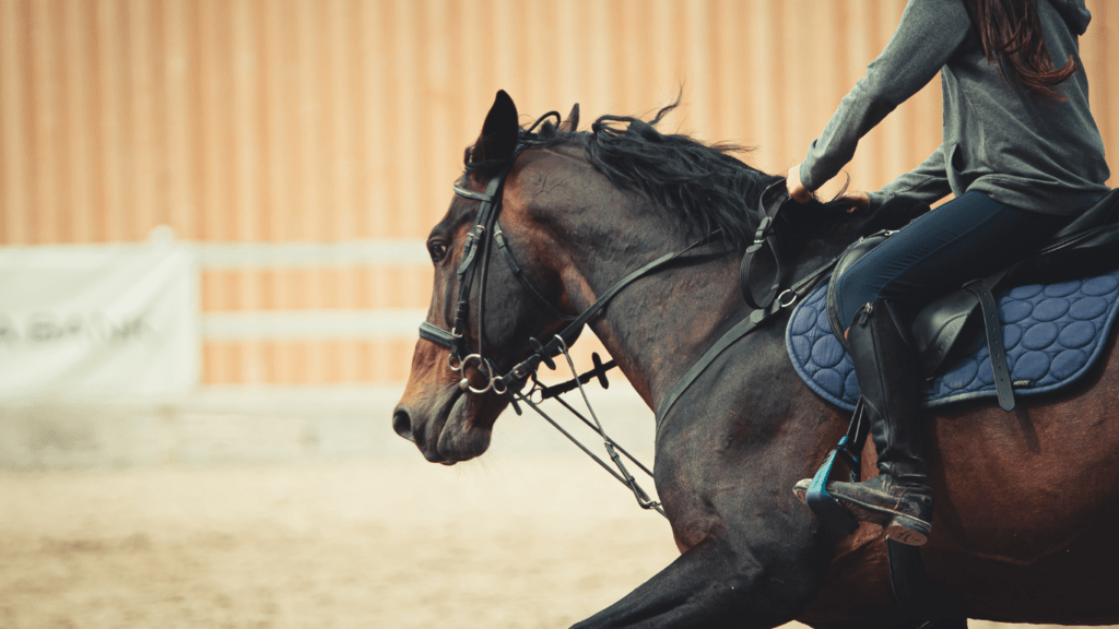 a person is riding on the back of a horse