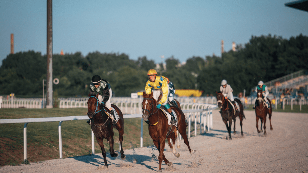 jockeys riding horses on a dirt track