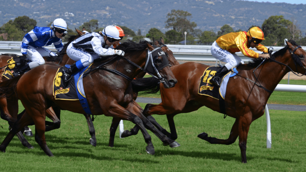 Three jockeys are racing horses down the track.