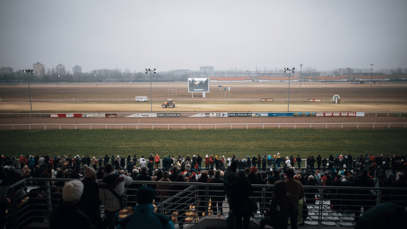 a group of people riding a horse