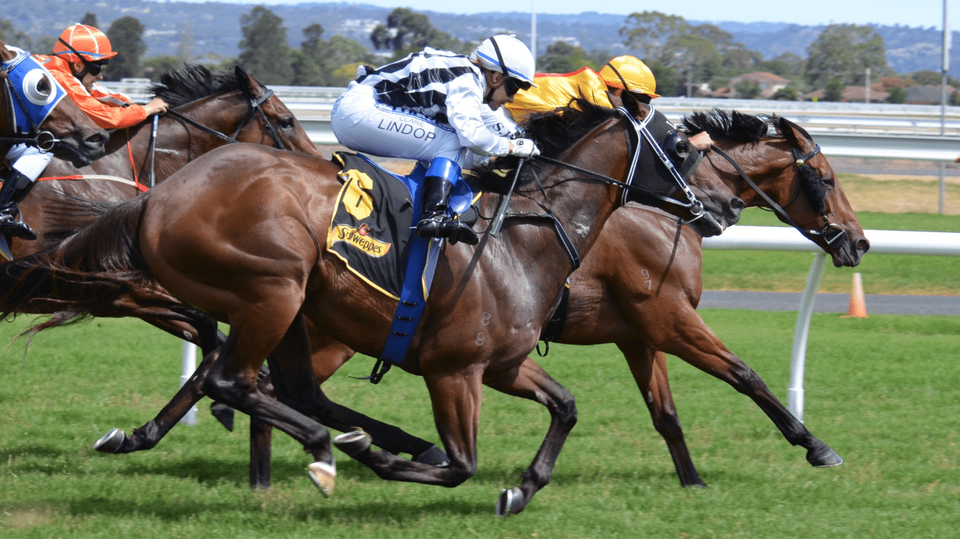 Three jockeys are racing horses down the track.