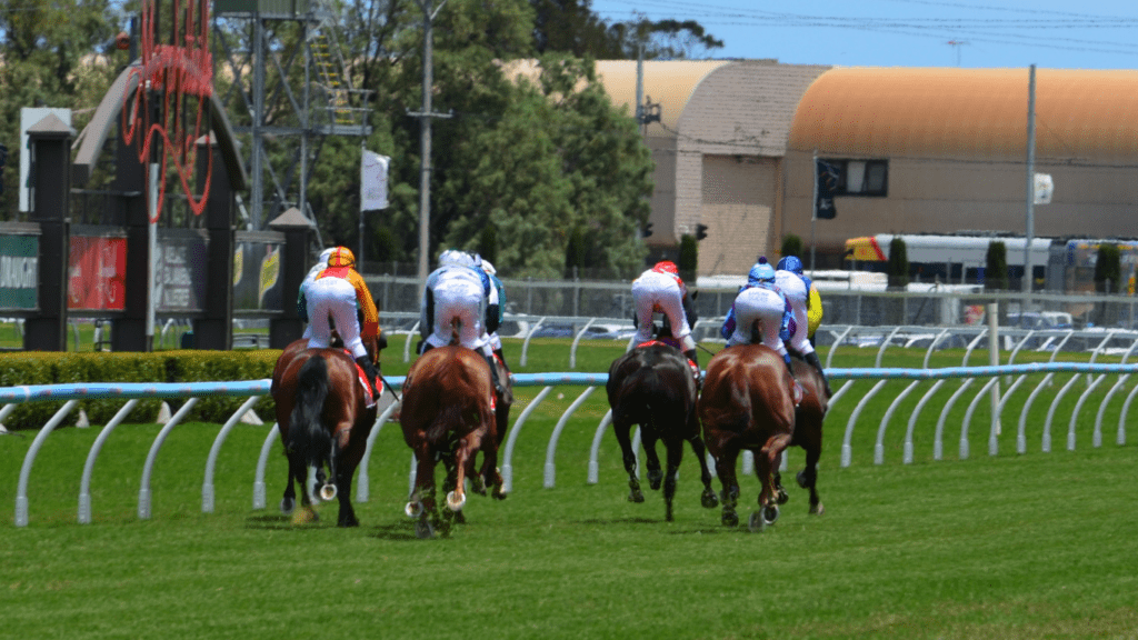 a group of people riding a horse