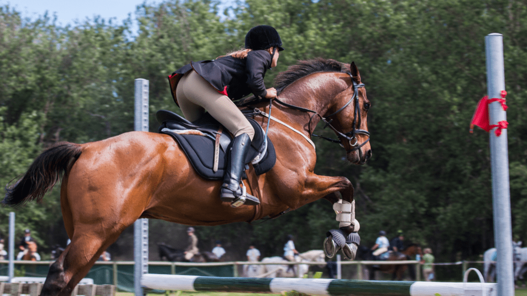 a image of a jockey