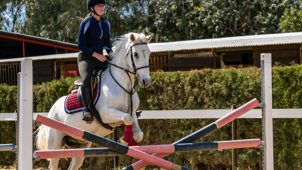 a rider on a white horse jumping over a puddle