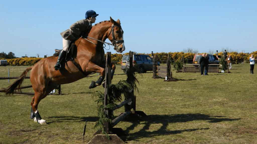 a rider on a white horse jumping over an obstacle