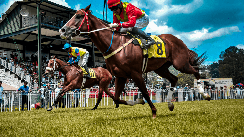 image of a horse racing