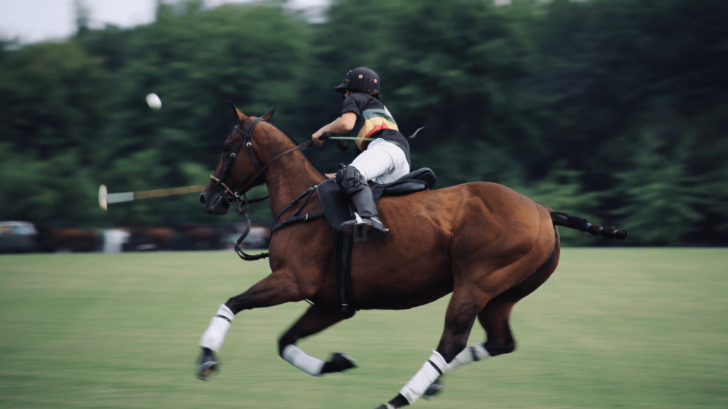 image of a person riding a horse