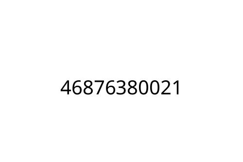 46876380021