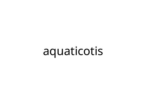 aquaticotis