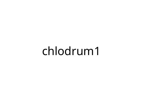 chlodrum1