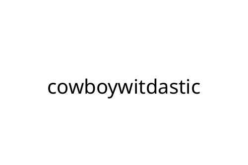cowboywitdastic