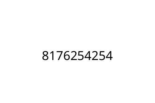 8176254254
