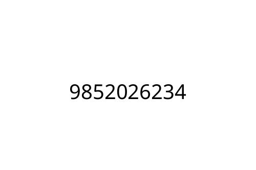 9852026234