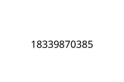 18339870385