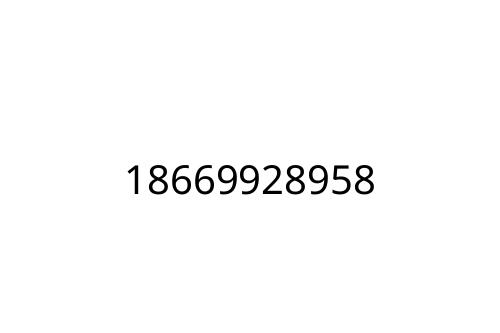 18669928958