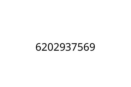 6202937569