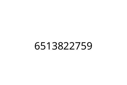 6513822759