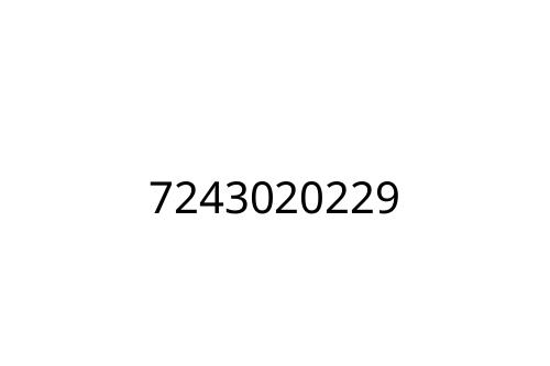 7243020229