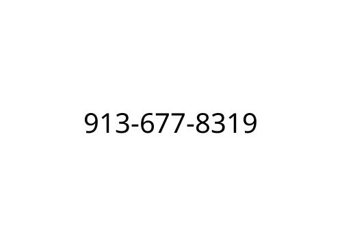 913-677-8319