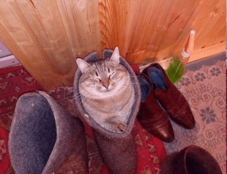 grandiamod1.2 download