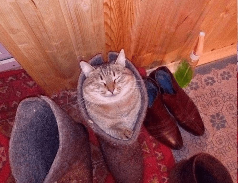 grandiamod1.2 download