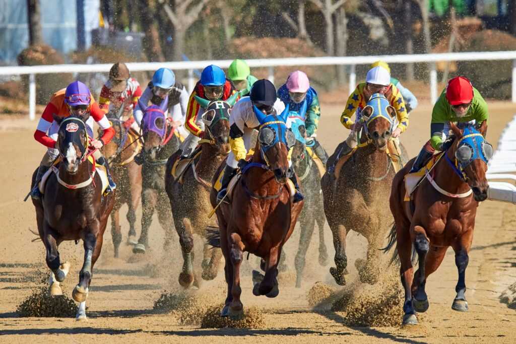 horse racing speed figures