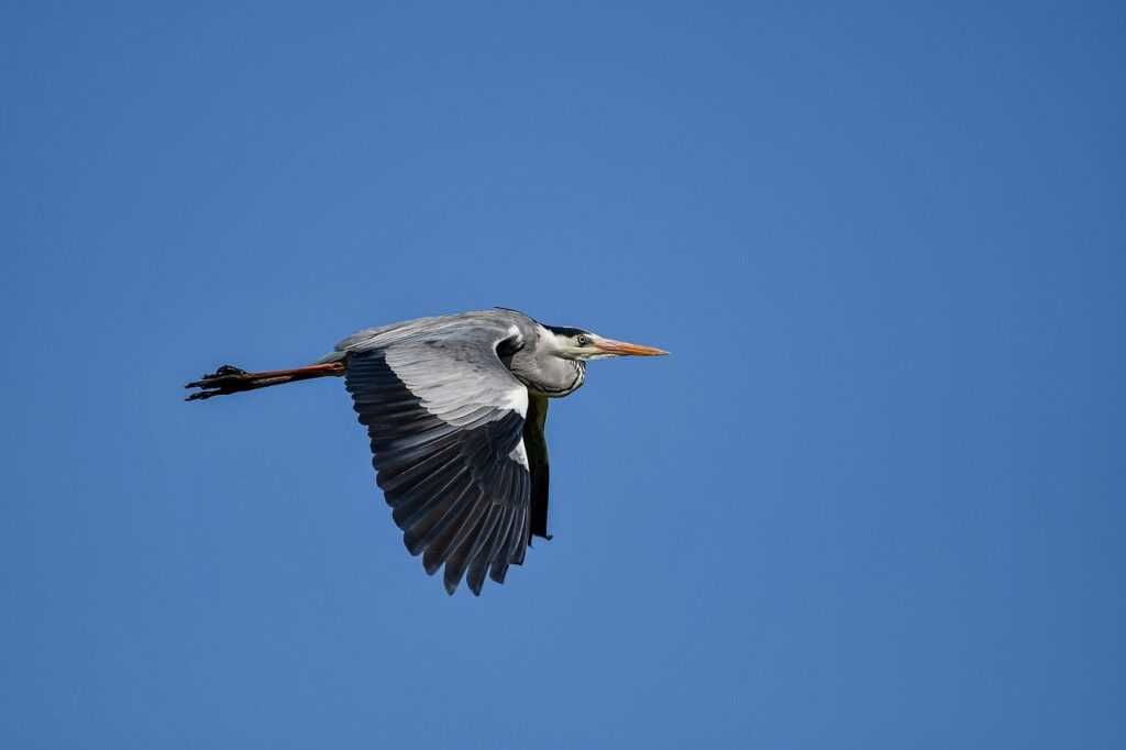 80 dlls a pesos mexicanos