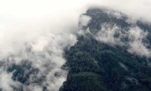 emmilyelizabethh leaks