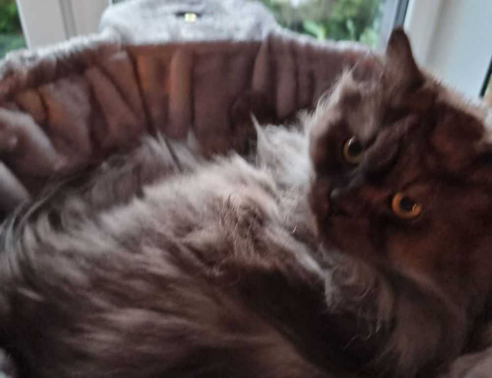 kenna sweets leaked onlyfans