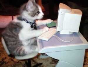 koleksi melayu twitter