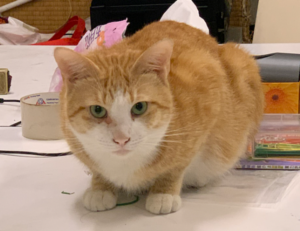 rodrigo riquelme dad