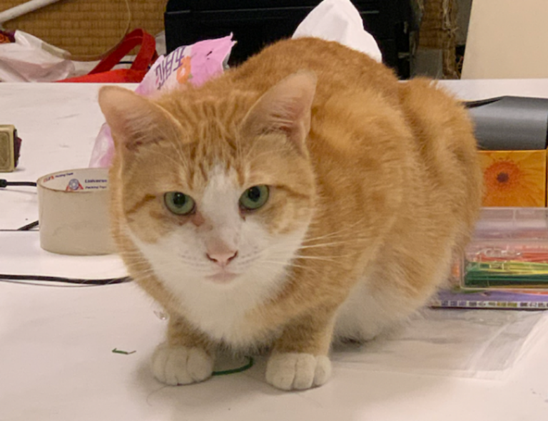 rodrigo riquelme dad