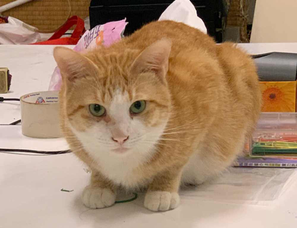 rodrigo riquelme dad