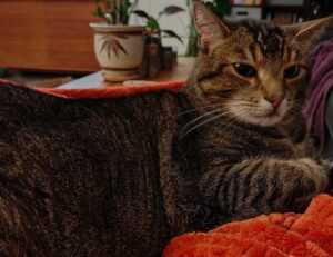 unalome tattoo senos