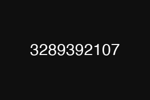3289392107