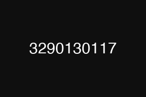 3290130117