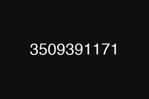 3509391171