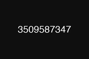 3509587347