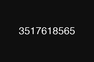3517618565