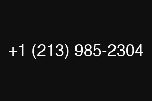 +1 (213) 985-2304
