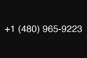 +1 (480) 965-9223