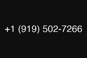 +1 (919) 502-7266