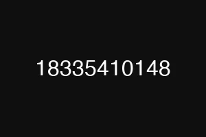 18335410148