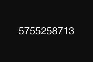 5755258713