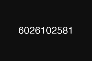 6026102581