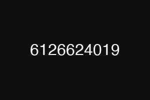 6126624019