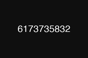 6173735832