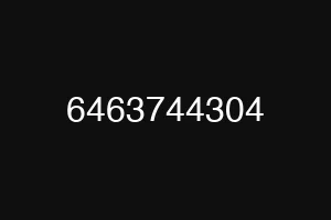 6463744304