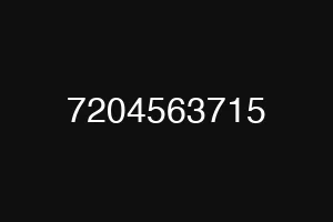 7204563715